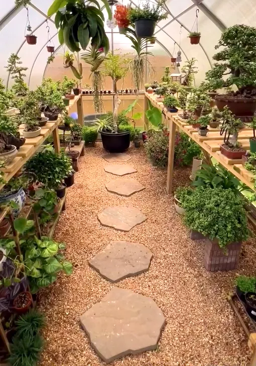 arrow-shaped polycarbonate greenhouse interior 9x14 ft